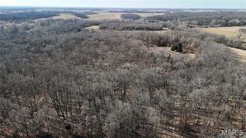 Tiny photo for 53 Louisville Road, Bowling Green, MO 63334 (MLS # 26002785)