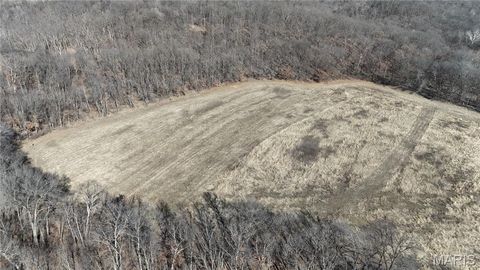 Tiny photo for 53 Louisville Road, Bowling Green, MO 63334 (MLS # 26002785)