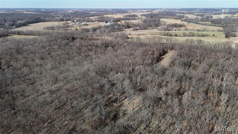 Tiny photo for 53 Louisville Road, Bowling Green, MO 63334 (MLS # 26002785)