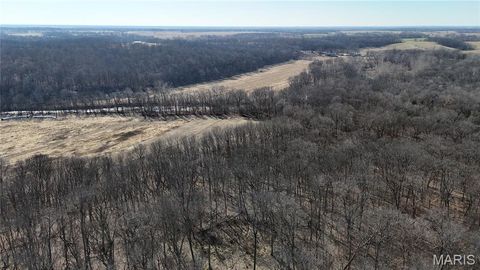 Tiny photo for 53 Louisville Road, Bowling Green, MO 63334 (MLS # 26002785)