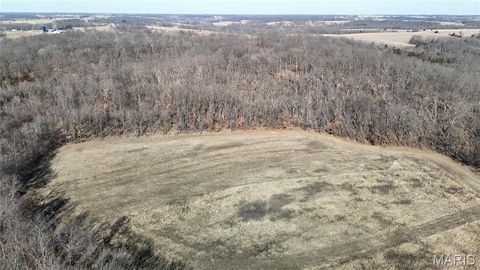 Tiny photo for 53 Louisville Road, Bowling Green, MO 63334 (MLS # 26002785)