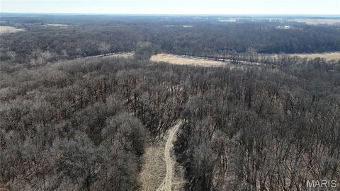 Tiny photo for 53 Louisville Road, Bowling Green, MO 63334 (MLS # 26002785)