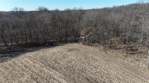Tiny photo for 53 Louisville Road, Bowling Green, MO 63334 (MLS # 26002785)