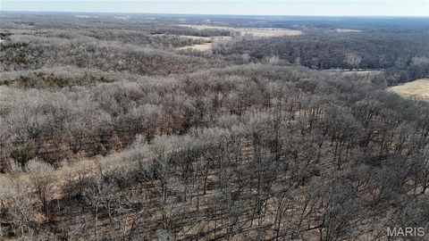 Tiny photo for 53 Louisville Road, Bowling Green, MO 63334 (MLS # 26002785)