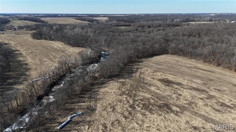 Tiny photo for 53 Louisville Road, Bowling Green, MO 63334 (MLS # 26002785)