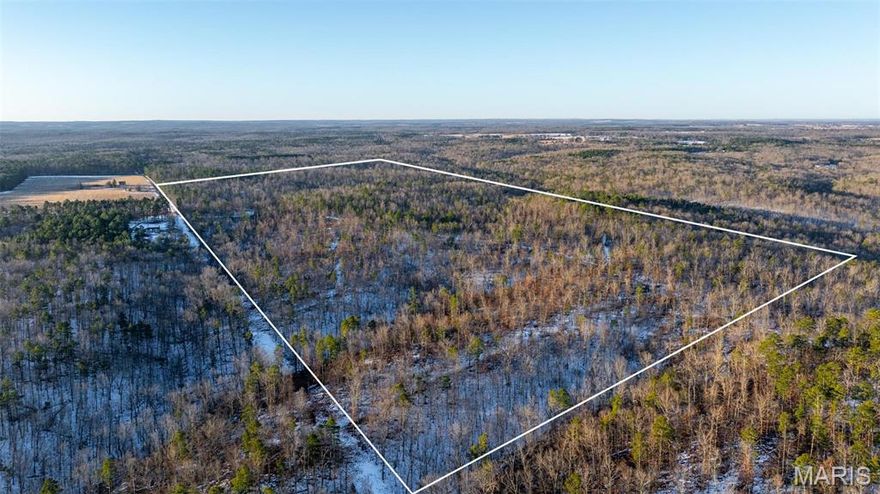 This 80 +/- acre tract is the northern half of a larger 160 +/- acre property and is accessed from Huldy Drive at the southeast corner of the property. Located less than 5 miles from Raymondville, MO, the tract runs primarily north and south and features gently rolling Ozarks terrain with multiple ridges and pocket ravines.
The diverse topography creates natural funnels and travel corridors, providing excellent deer and turkey habitat. A great trail system allows side-by-side and ATV access through much of the property. Electric service runs along the eastern boundary, offering potential for future improvements.
The north and south tracts may also be purchased together for those seeking a larger continuous property.