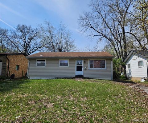 10117 Royal Drive St Louis MO 63136