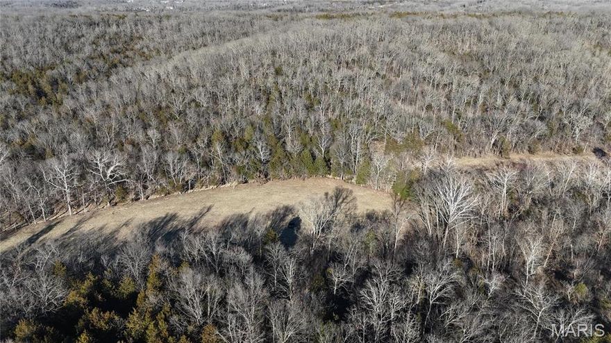 Seize the opportunity to own this 10.02-acre parcel of mostly wooded land with a spacious open pasture. Whether you're looking to raise livestock, create a hunting haven, or build your ideal home, this flat, usable land offers endless possibilities. This property is ideal for building your dream home and offers the perfect balance of privacy and open space. The wooded areas provide a peaceful, natural backdrop, while the open pasture gives you room to create your vision—weather that is farming, recreation, or a peaceful homestead. Located near convenience but still rural, this land is the perfect escape from the hustle and bustle, while still offering all the potential you need to create your dream lifestyle. Don’t miss your chance to own your own slice of paradise! A plat is available for you to see lot lines and this property is not in a flood zone. Ameren to install electric.