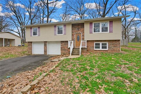 902 Albert Street Dexter MO 63841