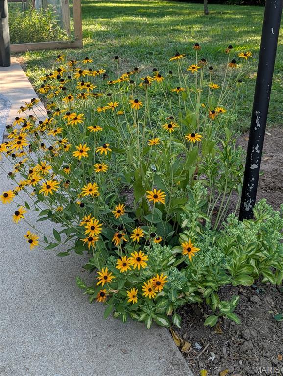 Colonial Forest - Residential