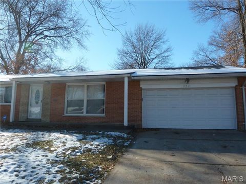 Photo of 11511 Withersfield Drive, St Louis, MO 63138 (MLS # 25082033)