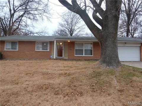 Tiny photo for 11511 Withersfield Drive, St Louis, MO 63138 (MLS # 25082033)