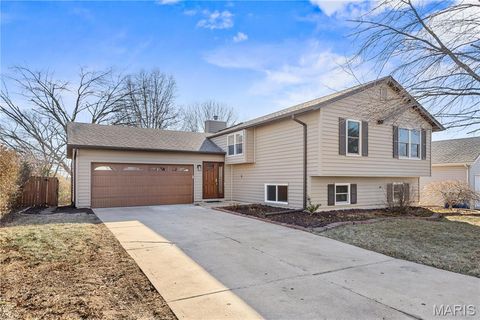 5 Woodland Ridge Court St Peters MO 63376