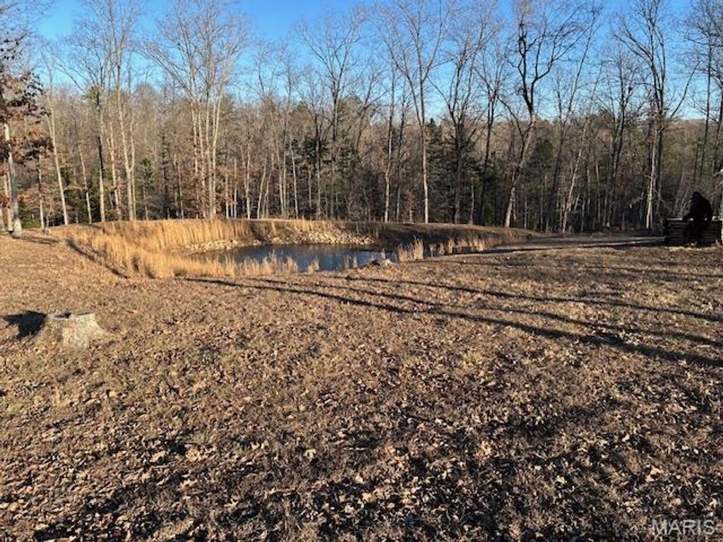 Photo of 5097 County Road 131, Arcadia, MO 63621 (MLS # 26004091)