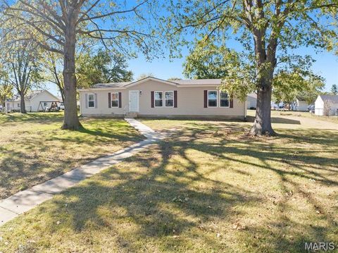 113 N Oak Street Hoffman IL 62250