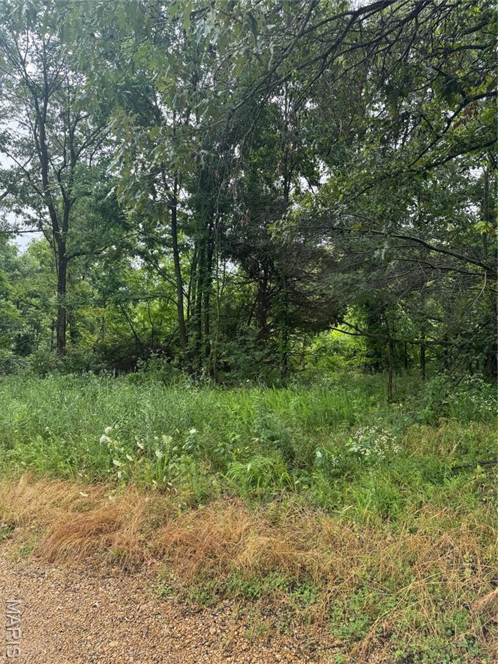 Photo of 0 N Hickory, Dexter, MO 63841 (MLS # 25080979)
