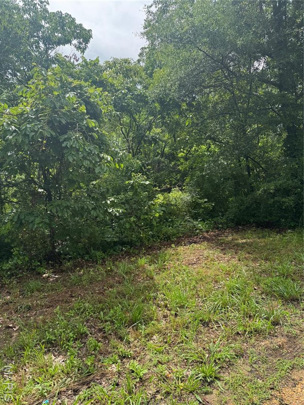 Photo of 0 N Hickory, Dexter, MO 63841 (MLS # 25080979)