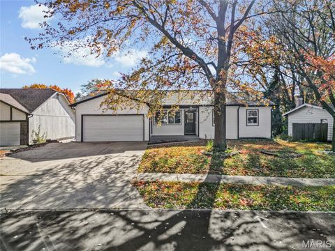 3300 Tom Sawyer Drive Florissant MO 63033