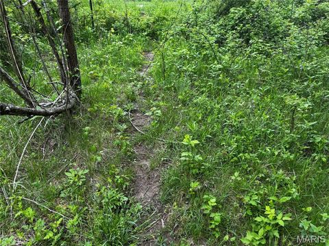 Tiny photo for 0000 County Rd 120, Philadelphia, MO 63463 (MLS # 26025515)
