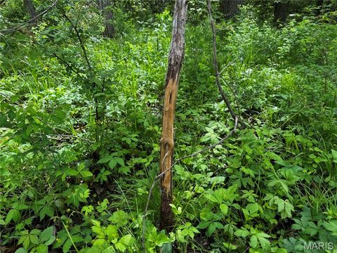 Tiny photo for 0000 County Rd 120, Philadelphia, MO 63463 (MLS # 26025515)