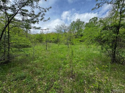 Tiny photo for 0000 County Rd 120, Philadelphia, MO 63463 (MLS # 26025515)