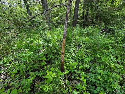 Tiny photo for 0000 County Rd 120, Philadelphia, MO 63463 (MLS # 26025515)