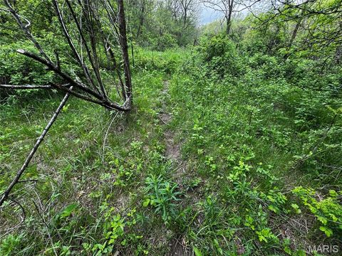 Tiny photo for 0000 County Rd 120, Philadelphia, MO 63463 (MLS # 26025515)