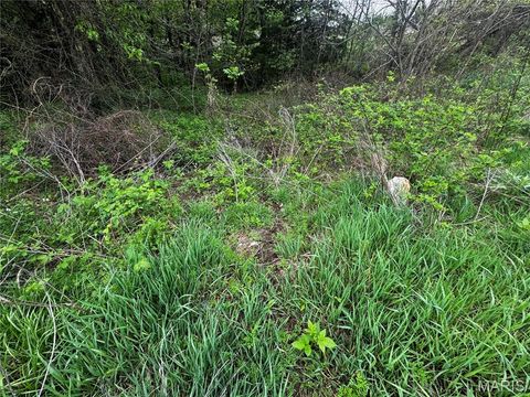 Tiny photo for 0000 County Rd 120, Philadelphia, MO 63463 (MLS # 26025515)