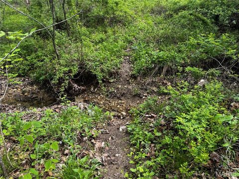 Tiny photo for 0000 County Rd 120, Philadelphia, MO 63463 (MLS # 26025515)