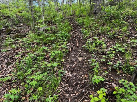 Tiny photo for 0000 County Rd 120, Philadelphia, MO 63463 (MLS # 26025515)