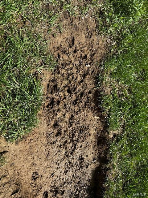 Tiny photo for 0000 County Rd 120, Philadelphia, MO 63463 (MLS # 26025515)