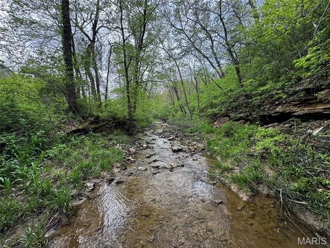 Tiny photo for 0000 County Rd 120, Philadelphia, MO 63463 (MLS # 26025515)