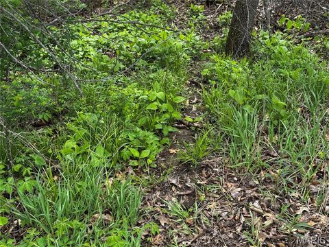 Tiny photo for 0000 County Rd 120, Philadelphia, MO 63463 (MLS # 26025515)