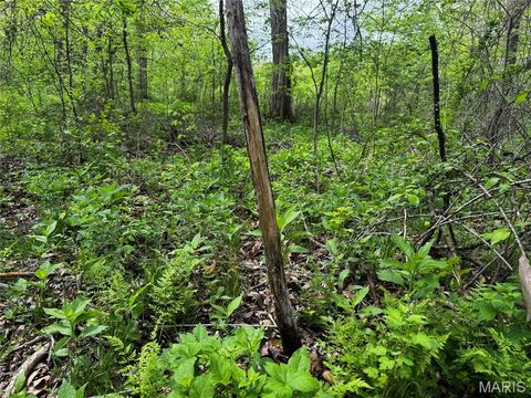 Tiny photo for 0000 County Rd 120, Philadelphia, MO 63463 (MLS # 26025515)