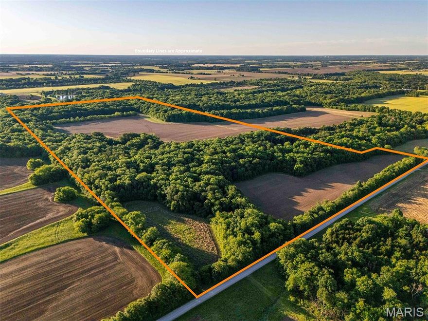 RARE AIR! This 105.9± acre hunting and recreational farm features a well-defined aerial map and is being offered as unspoiled land for sale—no splits involved. Properties like this are hard to find. It’s a proven hunting farm that’s ready for the upcoming fall season! Located just 10 miles north of Jonesburg, the land consists of approximately 27± acres of productive cropland, showcasing Mexico and Armster silt loam soils. The remaining acreage includes a blend of hardwood timber, warm-season grass, cedar thickets, food plots, and brushy edges, providing various options for farming, recreation, or hunting. Price Branch Creek flows through the eastern part of the property, creating the perfect balance of open ground and cover to support plenty of wildlife and ensure successful hunts. With no restrictions, the new owner will have a blank canvas to manage according to their vision—whether that means adding more food plots or increasing grasslands, it’s entirely up to them! Conveniently located just 35 miles west of Wentzville and less than an hour's drive from Chesterfield Valley, this property offers an ideal setting for those seeking rural living combined with easy access to the metropolitan area.