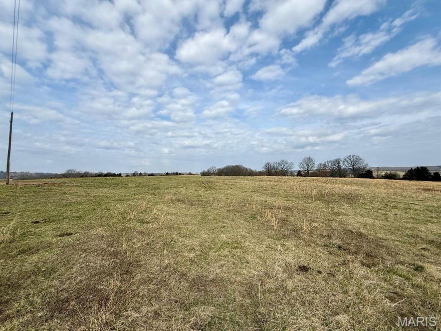 Prime cattle land with good grass, multiple ponds, perimeter fencing and electric on the property. This 88.14 surveyed acres sits at the end of the road in rural Texas County, Missouri and offers No Restrictions on the land. Sitting near the quiet old community of Bado, the peace and views are outstanding. Seller financing is available.
