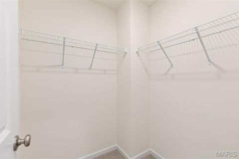 Tiny photo for 364 Butterfly Garden Lane, Wentzville, MO 63385 (MLS # 26016498)