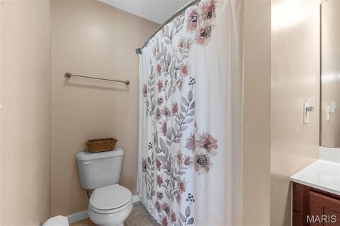 Tiny photo for 184 Equestrian Drive, Winfield, MO 63389 (MLS # 25030378)