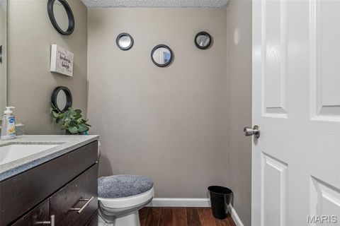 Tiny photo for 161 Dartingbird Lane #D, Eureka, MO 63025 (MLS # 25069300)