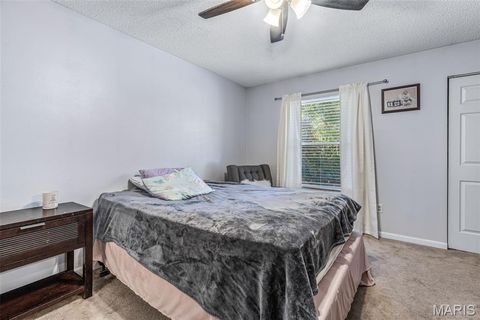 Tiny photo for 161 Dartingbird Lane #D, Eureka, MO 63025 (MLS # 25069300)