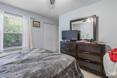 Tiny photo for 161 Dartingbird Lane #D, Eureka, MO 63025 (MLS # 25069300)