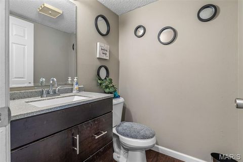 Tiny photo for 161 Dartingbird Lane #D, Eureka, MO 63025 (MLS # 25069300)