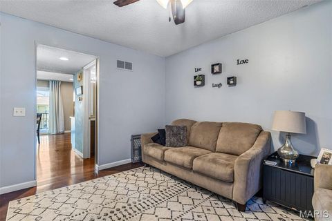 Tiny photo for 161 Dartingbird Lane #D, Eureka, MO 63025 (MLS # 25069300)