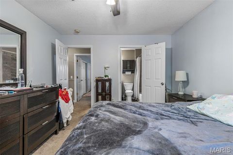 Tiny photo for 161 Dartingbird Lane #D, Eureka, MO 63025 (MLS # 25069300)