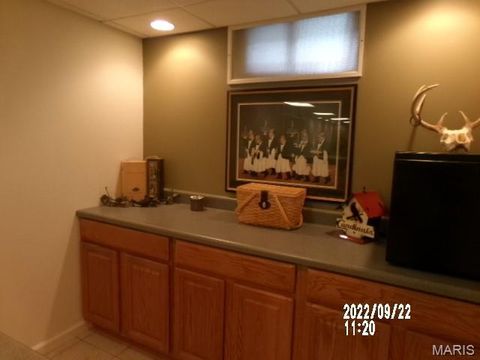Tiny photo for 56 W Nottingham Circle, Sullivan, MO 63080 (MLS # 26033859)