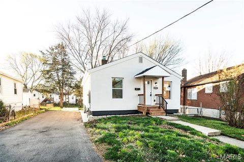Tiny photo for 1402 Dammert Avenue, St Louis, MO 63125 (MLS # 26018982)