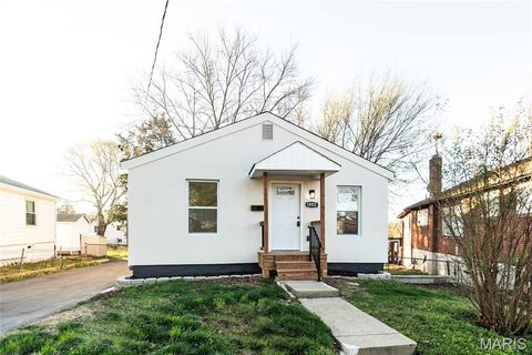Tiny photo for 1402 Dammert Avenue, St Louis, MO 63125 (MLS # 26018982)