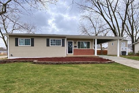 1920 David Drive Florissant MO 63031