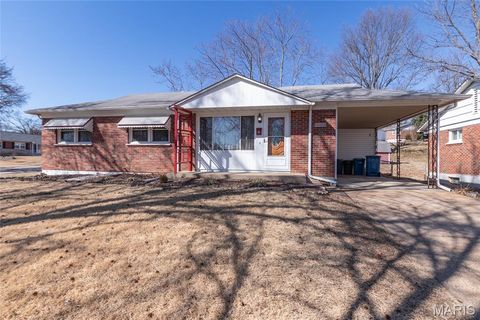 Photo of 9025 Kickapoo Drive, St Louis, MO 63123 (MLS # 26010506)