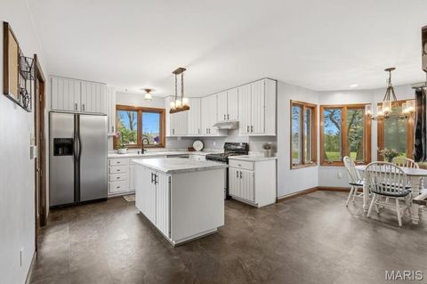 Tiny photo for 249 Reinke Road, Ballwin, MO 63021 (MLS # 26022856)
